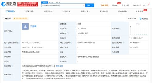 软件开发与技术服务的双轮驱动 数字化转型时代的核心引擎